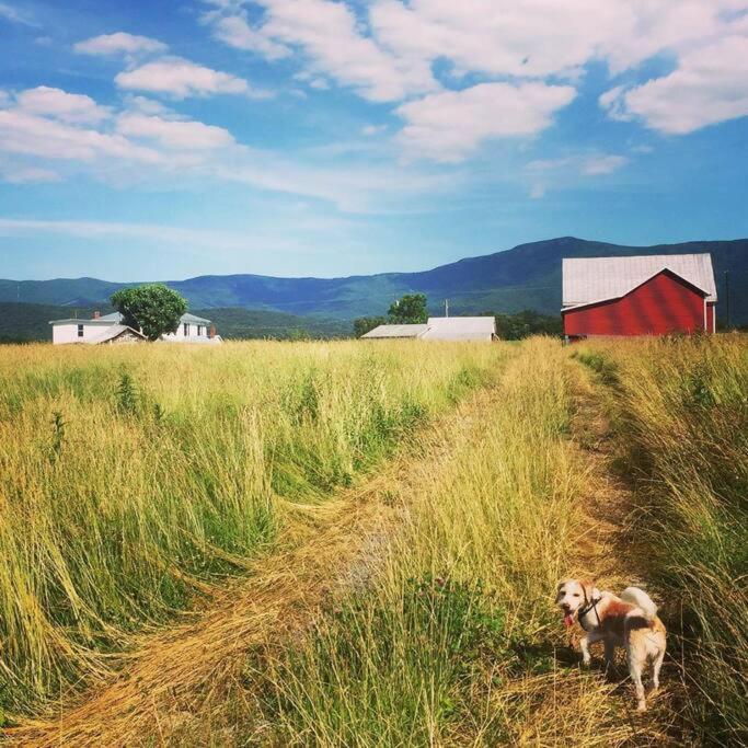 Madeline Farms Villa Luray Dış mekan fotoğraf