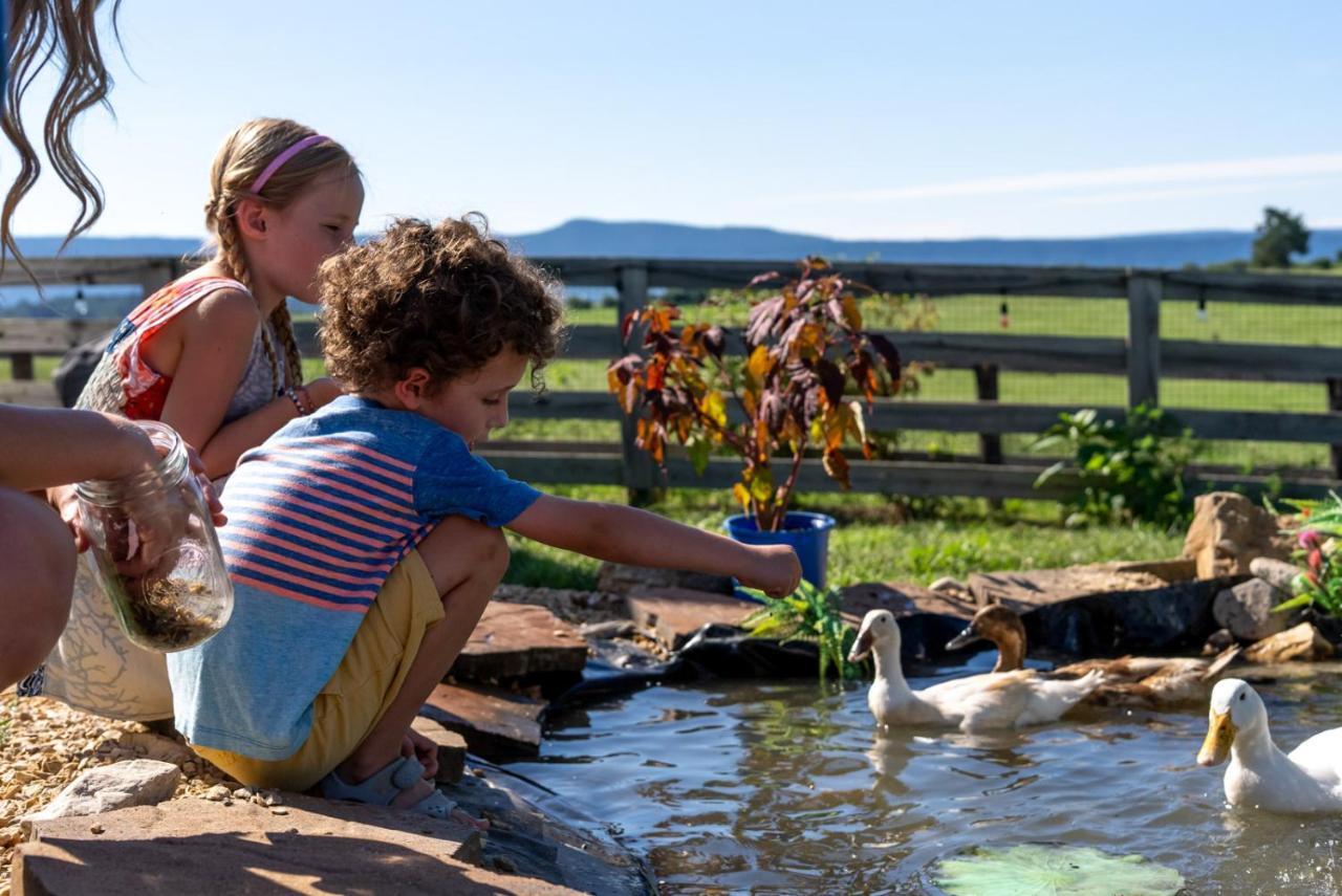 Madeline Farms Villa Luray Dış mekan fotoğraf