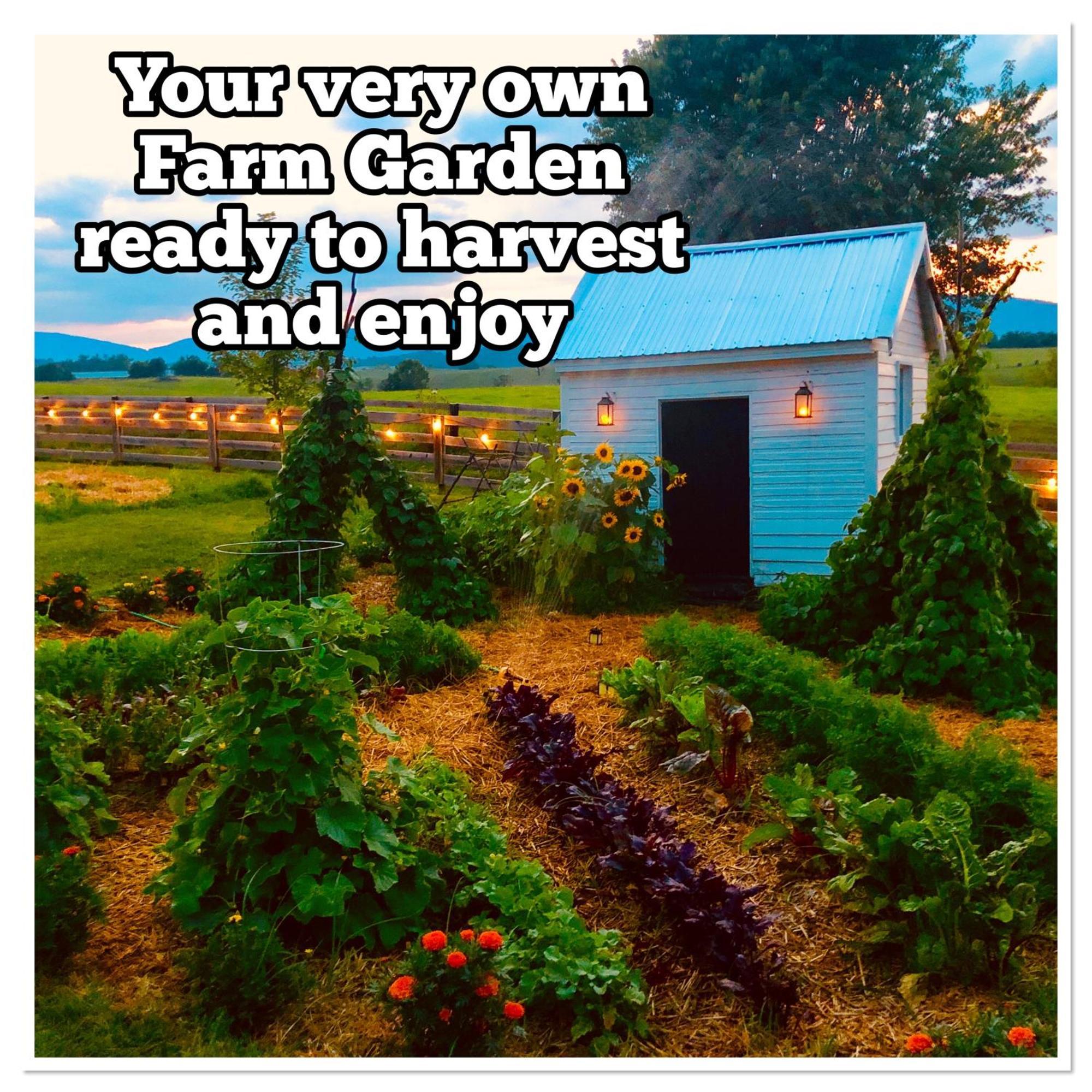 Madeline Farms Villa Luray Dış mekan fotoğraf