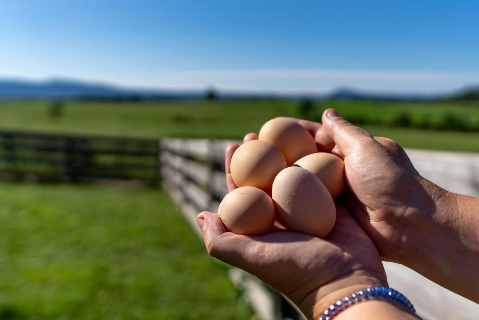 Madeline Farms Villa Luray Dış mekan fotoğraf