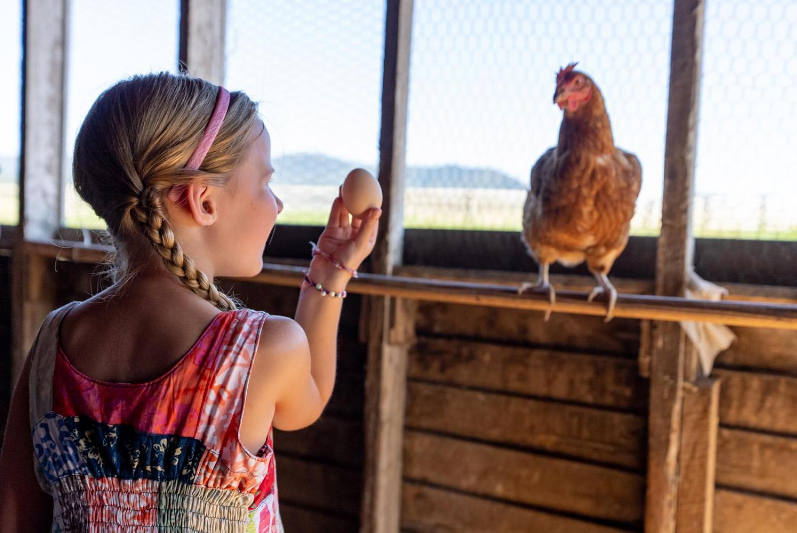 Madeline Farms Villa Luray Dış mekan fotoğraf