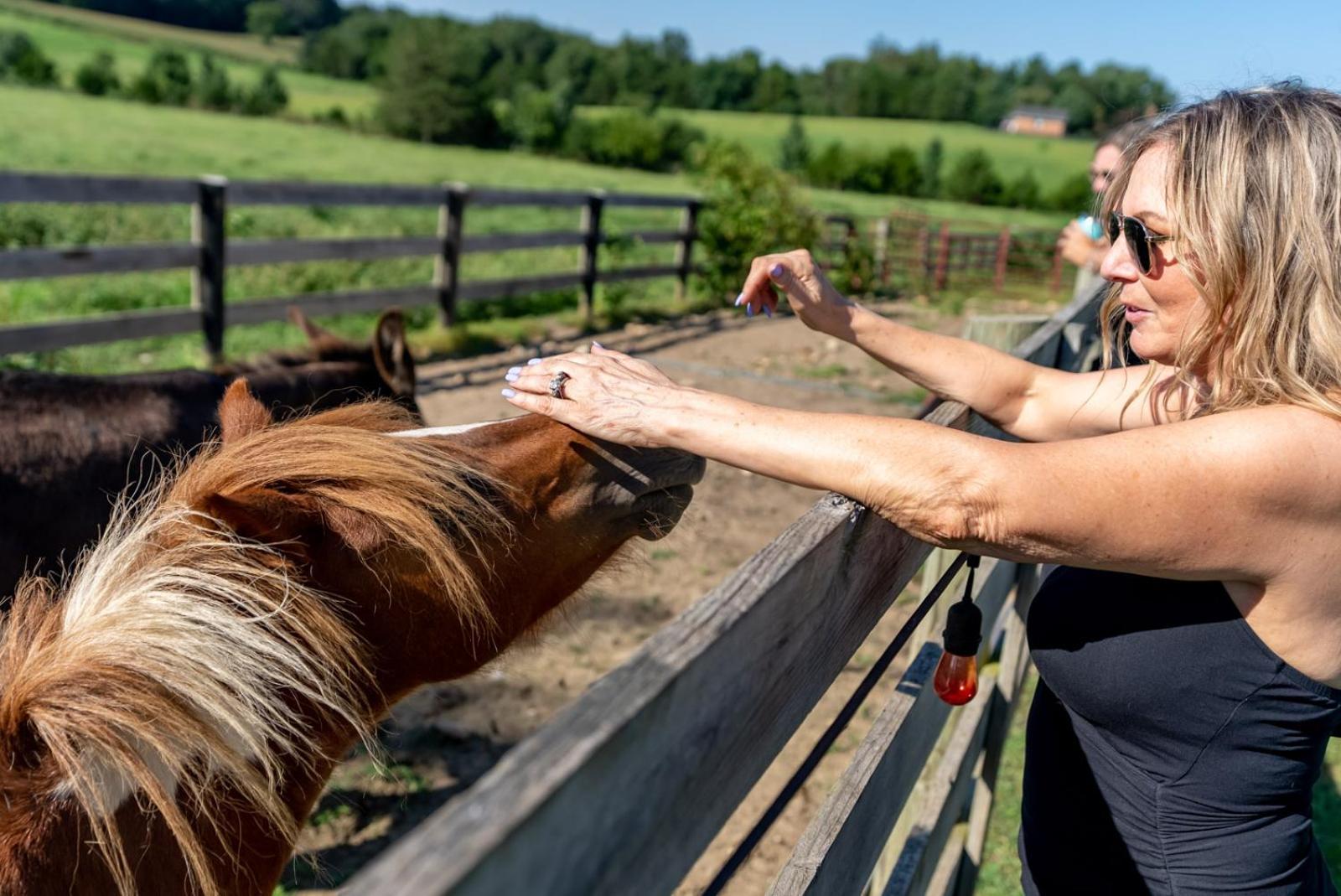 Madeline Farms Villa Luray Dış mekan fotoğraf