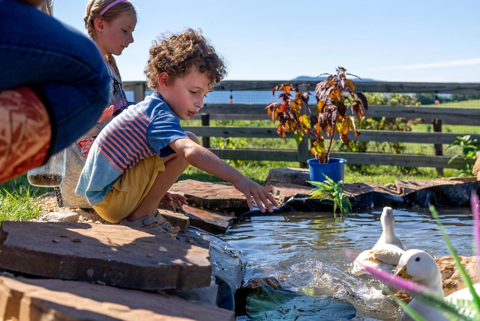 Madeline Farms Villa Luray Dış mekan fotoğraf