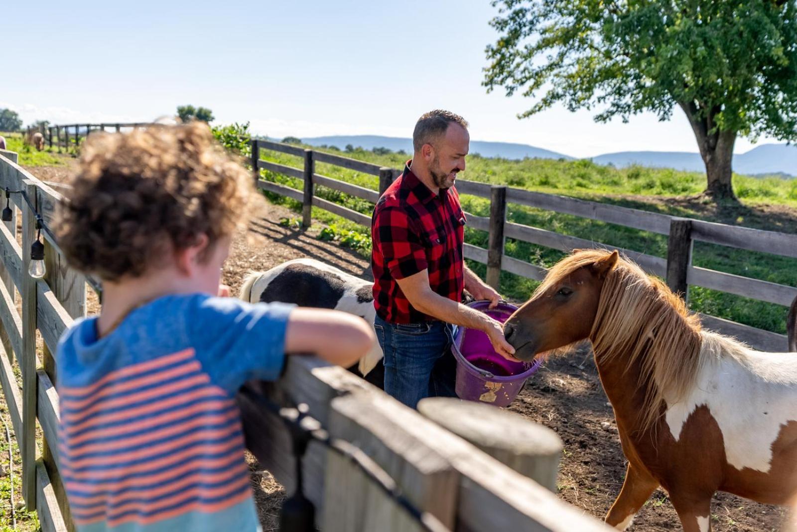Madeline Farms Villa Luray Dış mekan fotoğraf